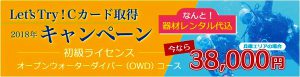 Cカード取得キャンペーン
