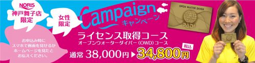 女性キャンペーン