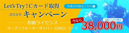 Cカード料金