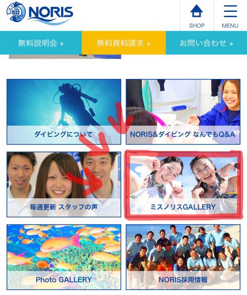 ミスノリス