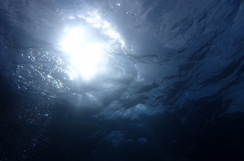 水面
