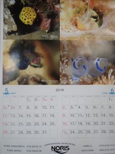 カレンダーの写真