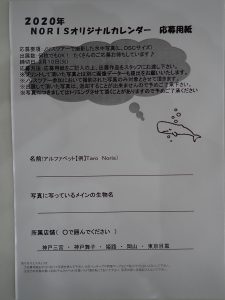 申込み用紙