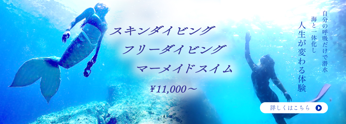 スキンダイビングを詳しく見る