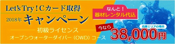 Cカード取得キャンペーン