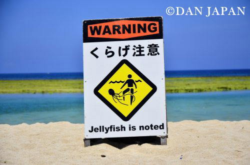 クラゲ危険