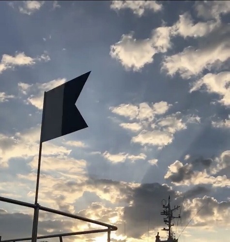鵜来島