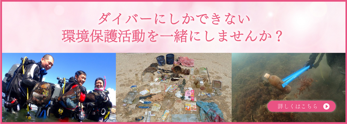ダイバーにしかできない環境保護活動