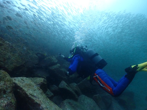 すいている今がチャンス♪冬から始めるダイビング入門