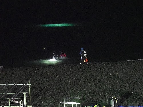 大瀬崎のナイトダイビング