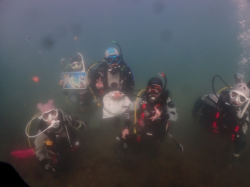兵庫ダイビングツアー【年内最後のDAD】12/20