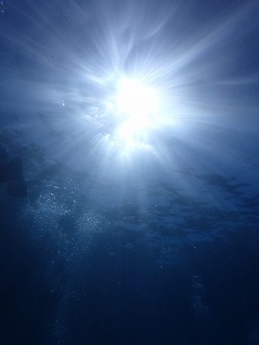 須江ダイビングツアー【内浦ビーチラスト！！】2/28