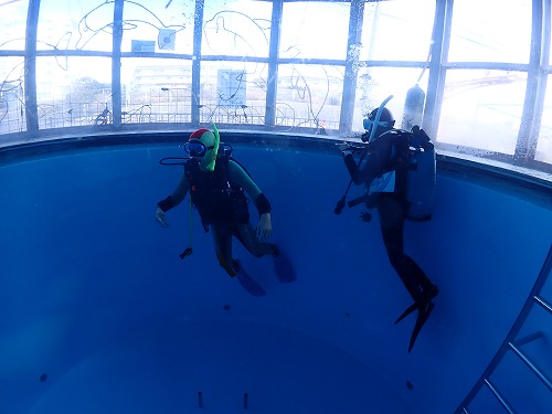 【沖縄 &夏を目指して♪～スクーバダイビング～】in舞子店プール3/14